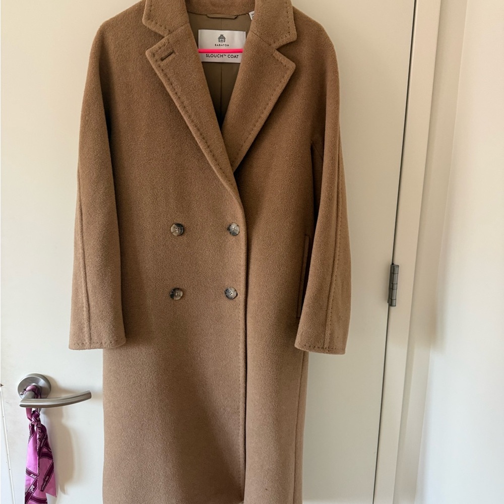 Aritzia Babaton Slouch Coat